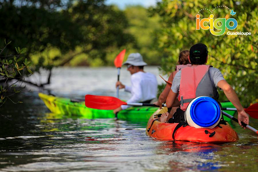 Randonnée guidée Kayak Grand culdesac Marin